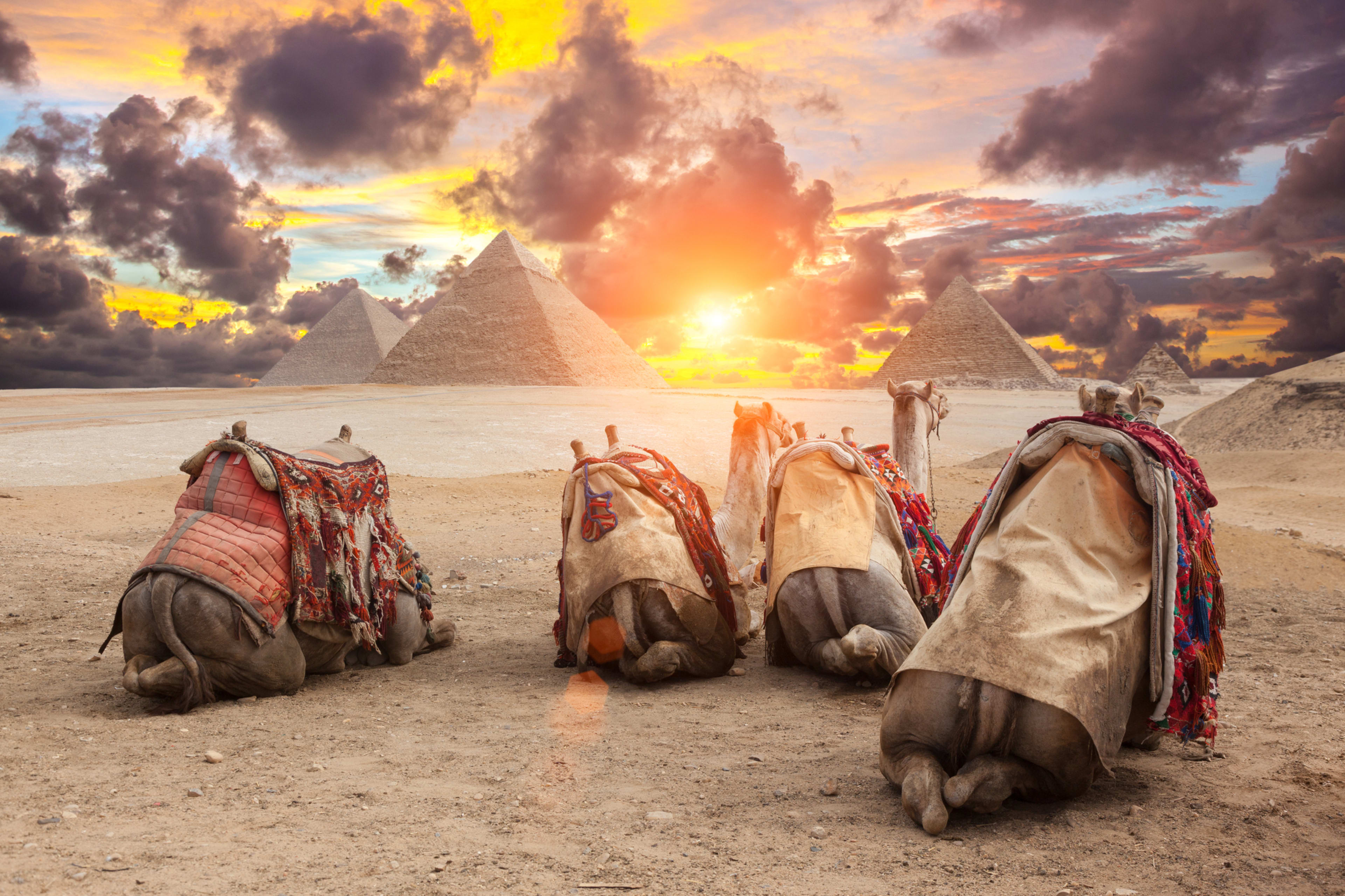 Egypt
