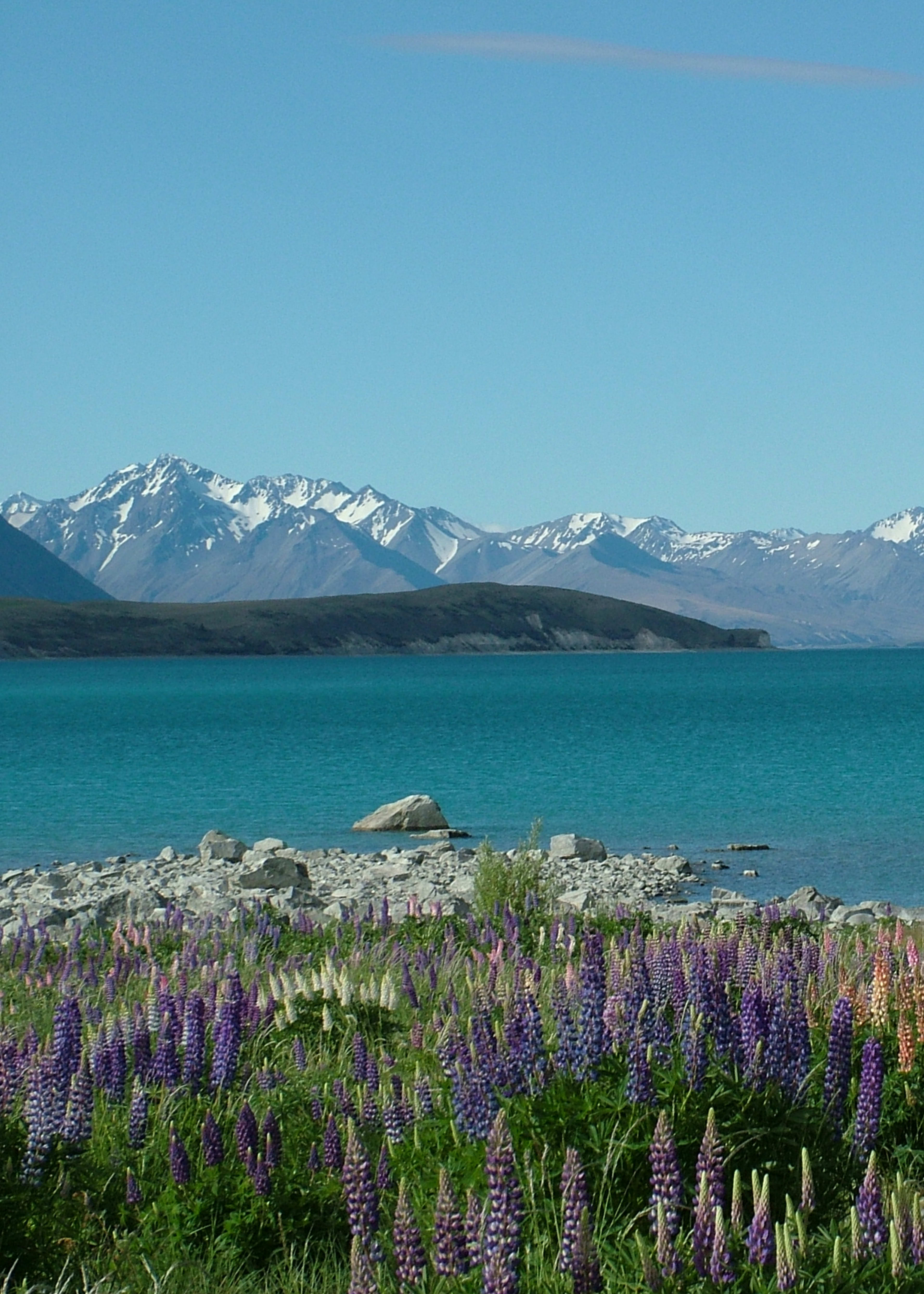 Lake Tekapo