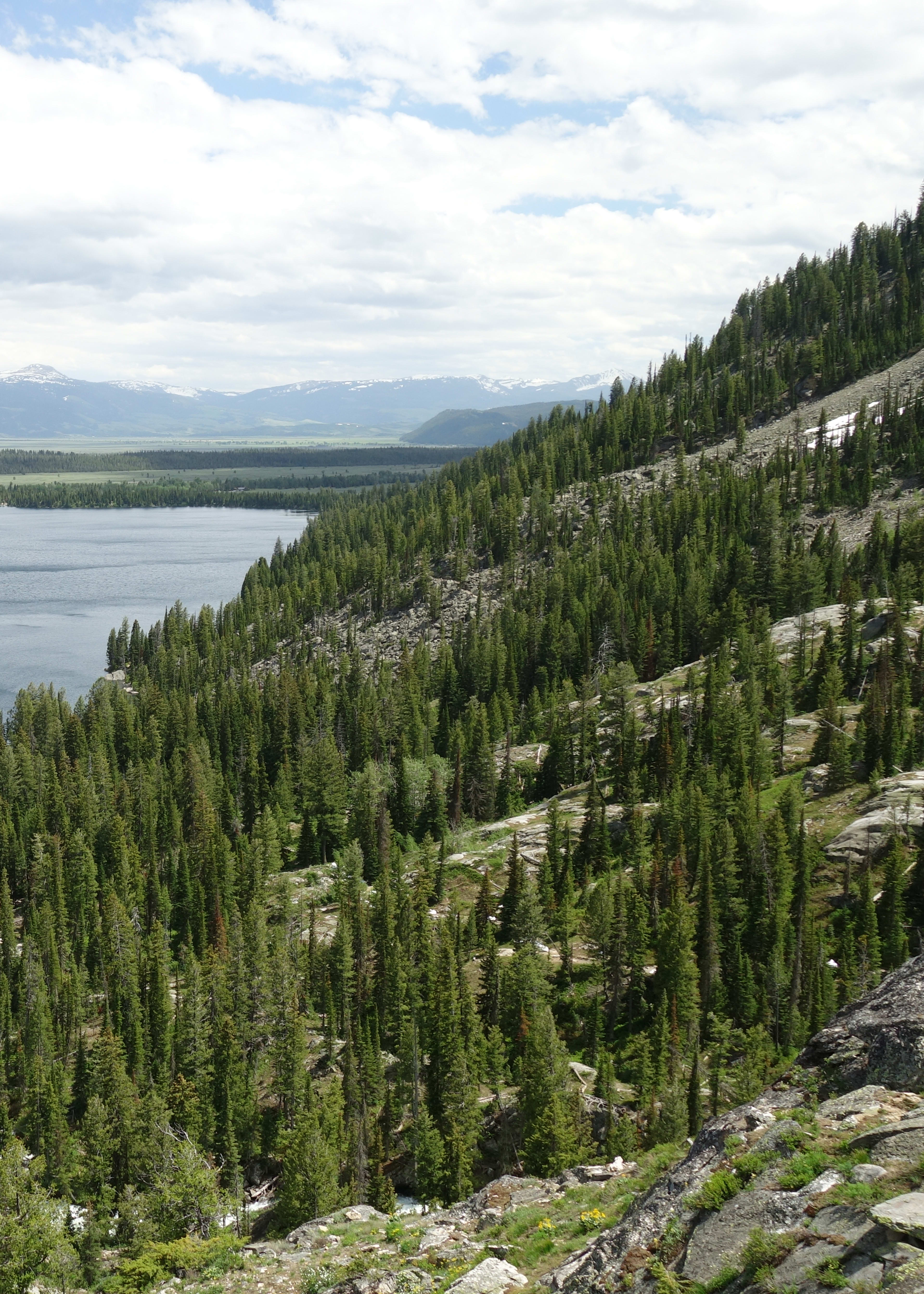 Jenny Lake