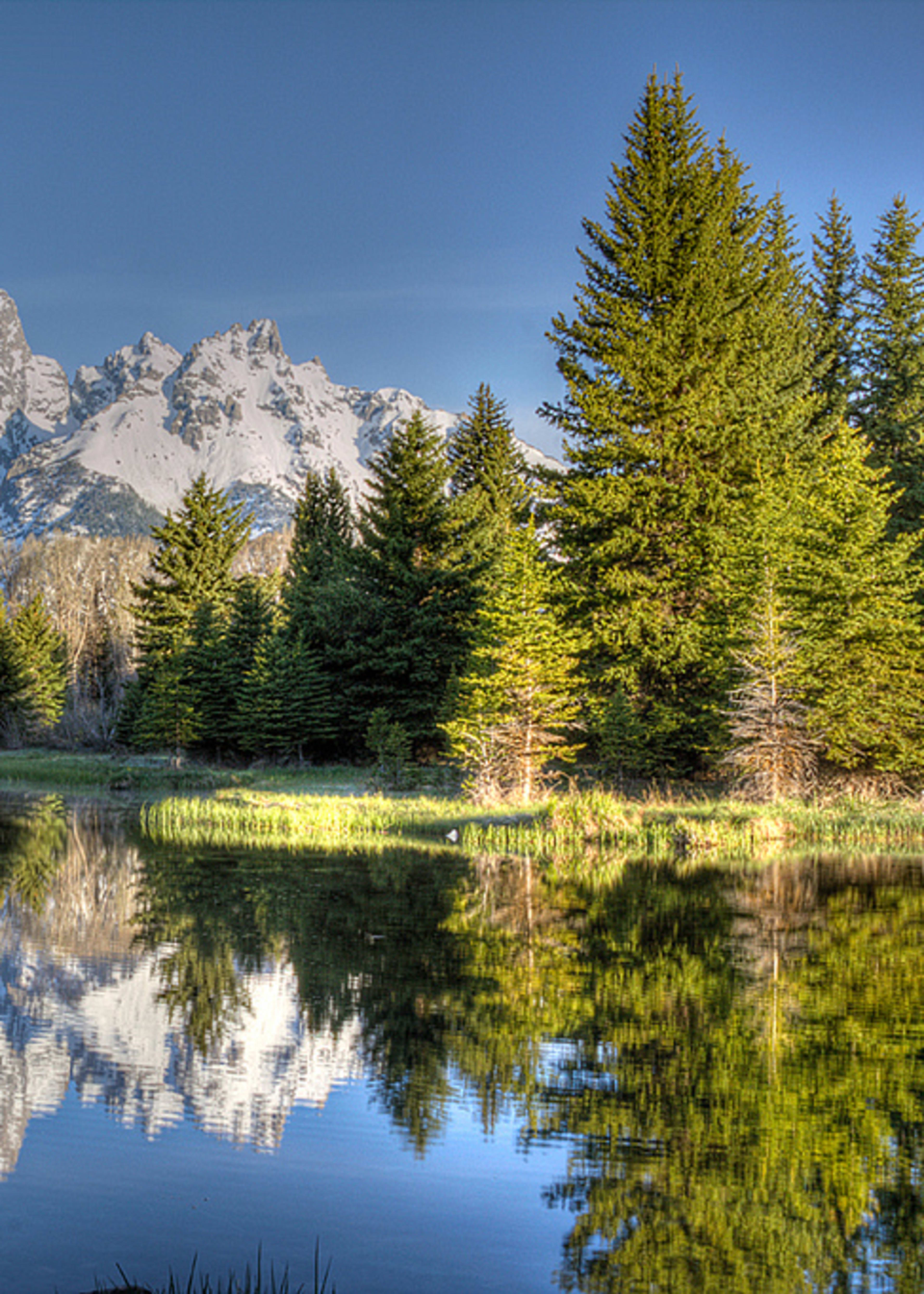 Schwabachers Landing