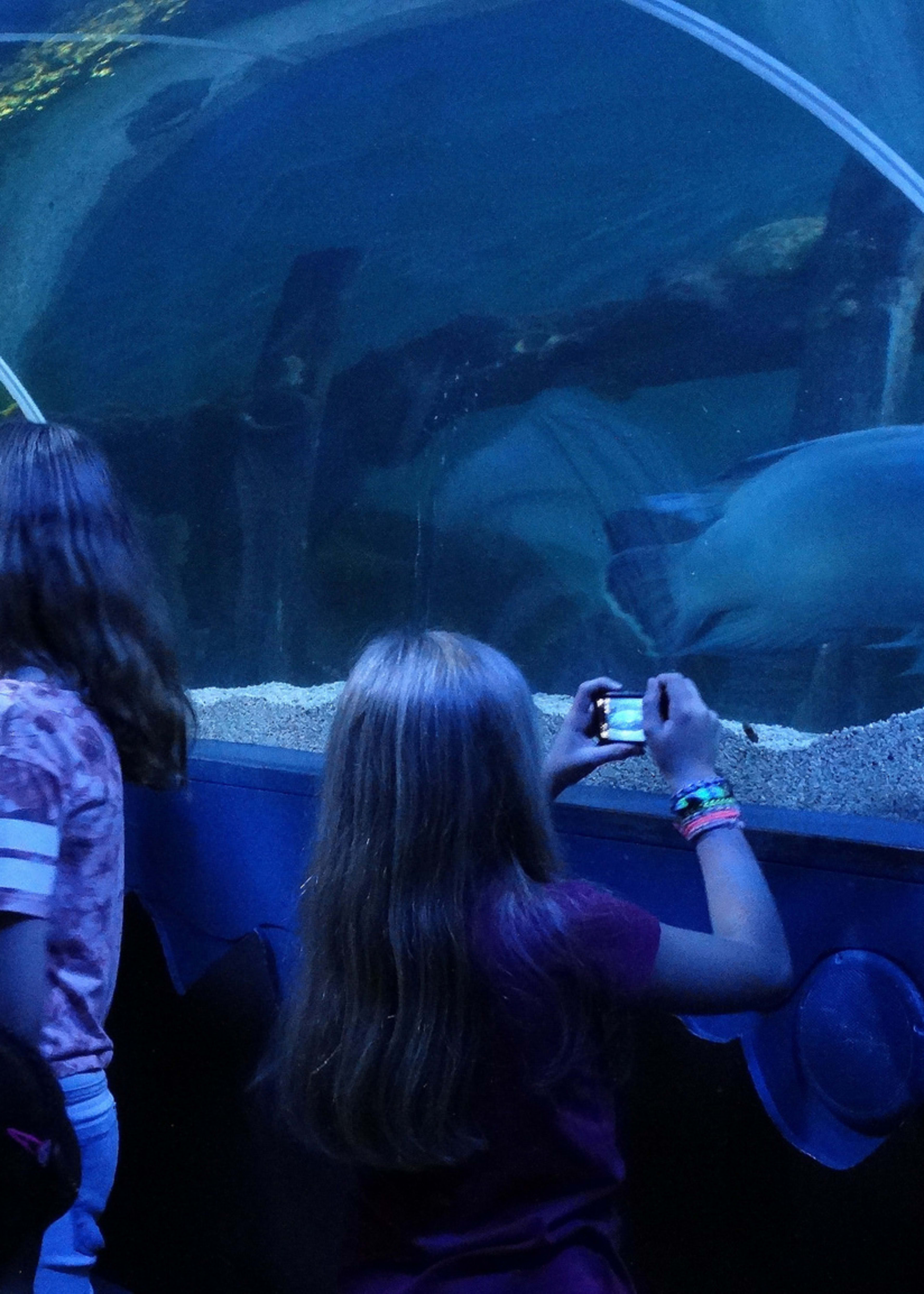 Sea life Scheveningen