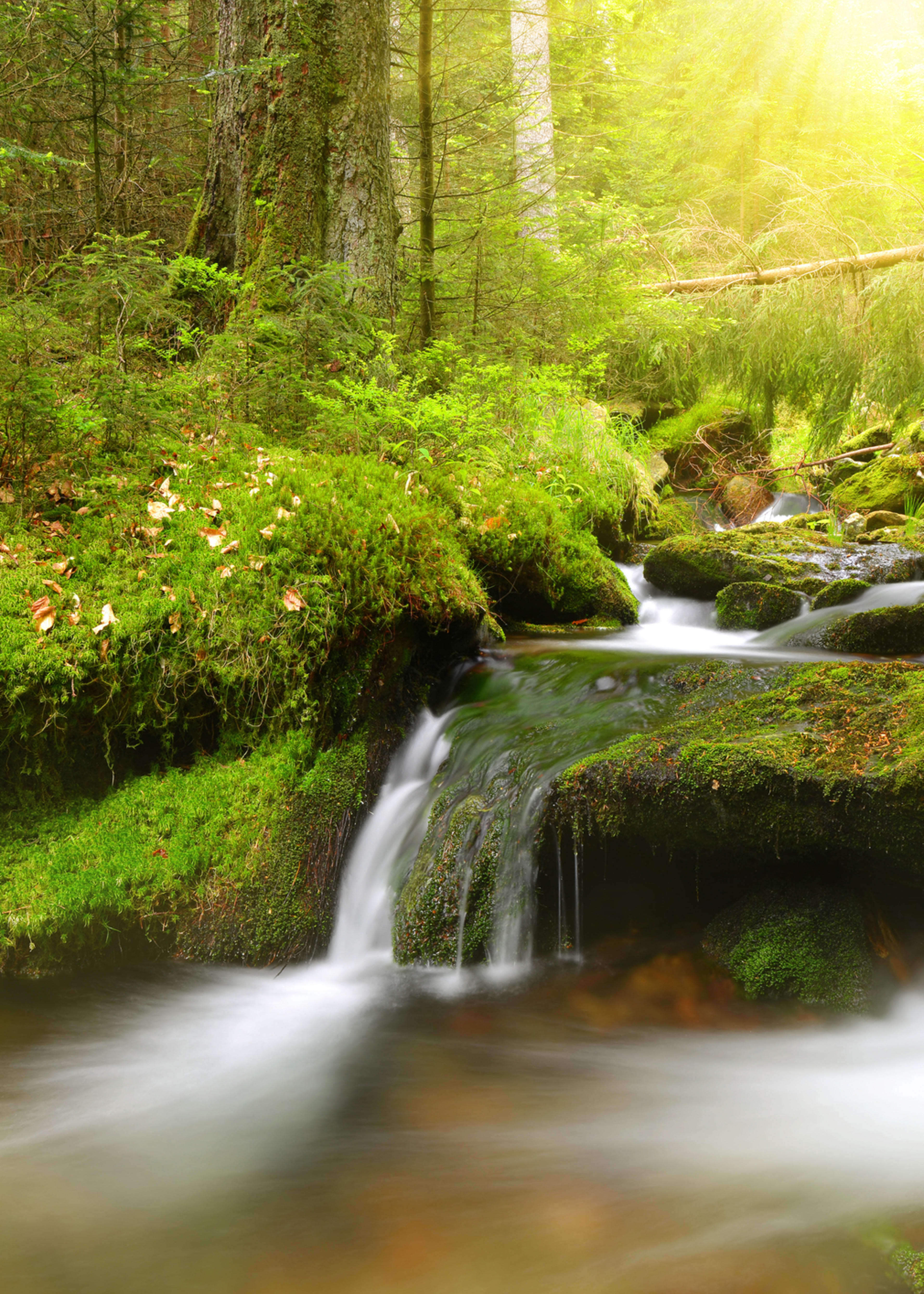 Šumava