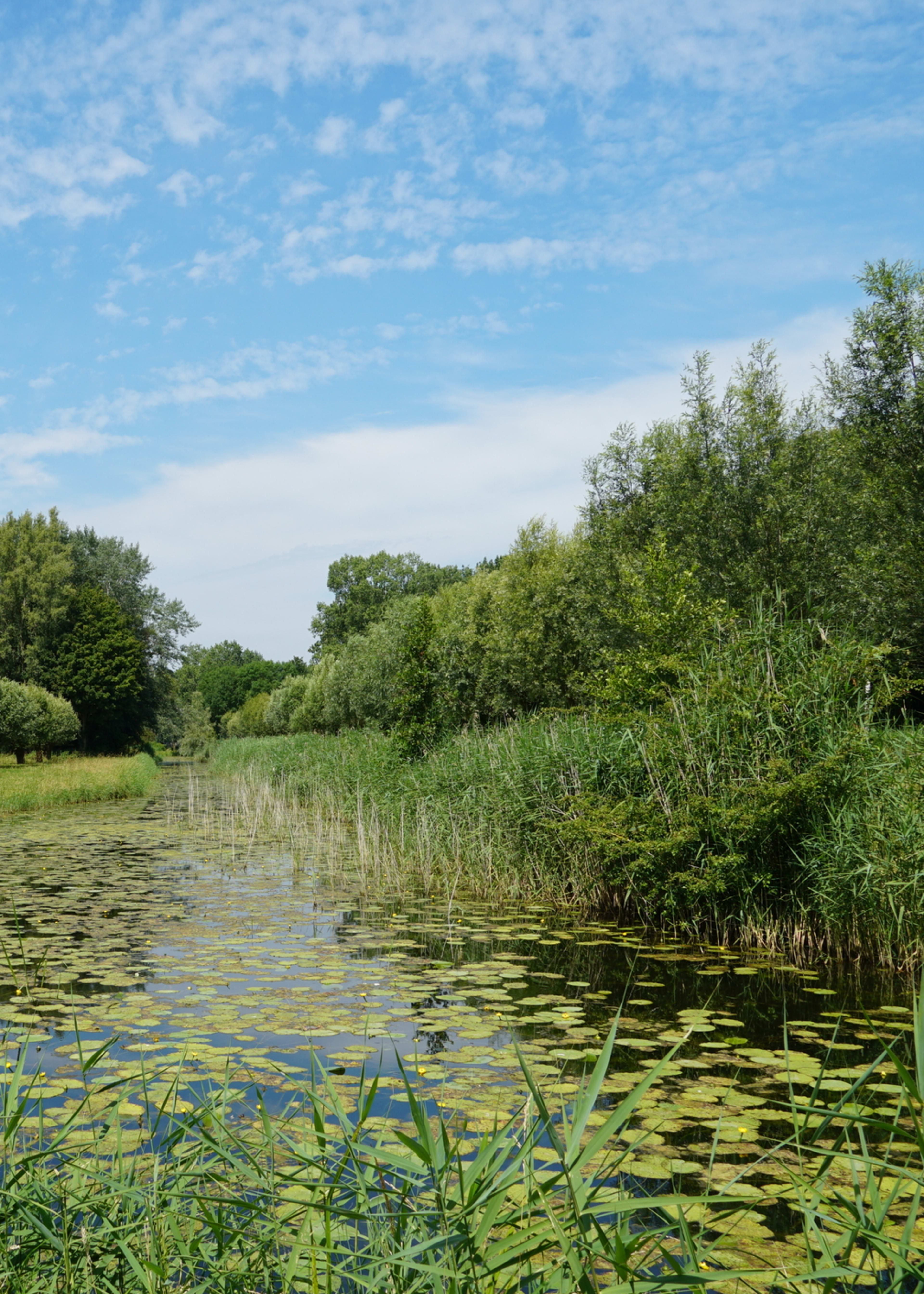 Národní park Biesbosch