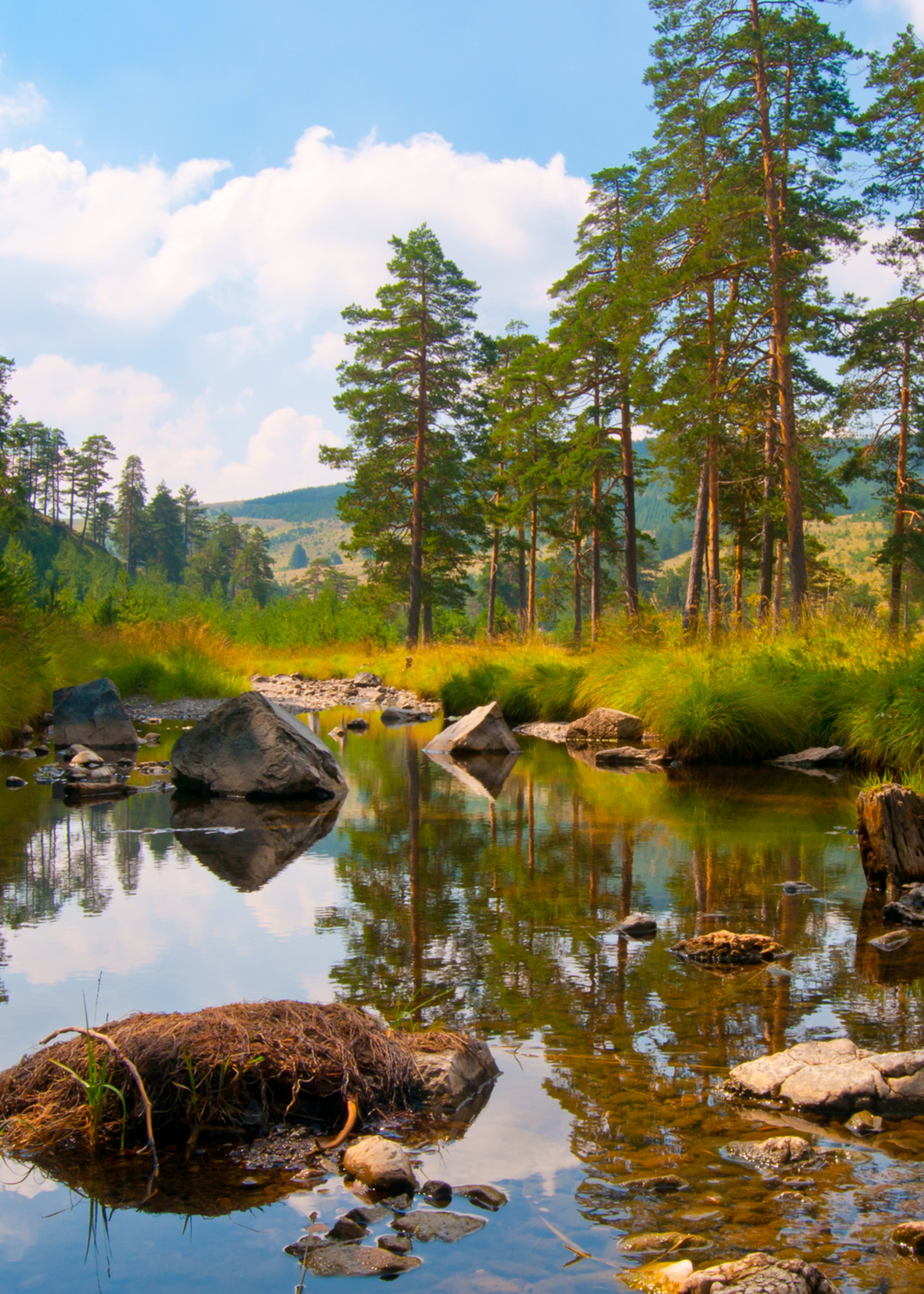 Zlatibor