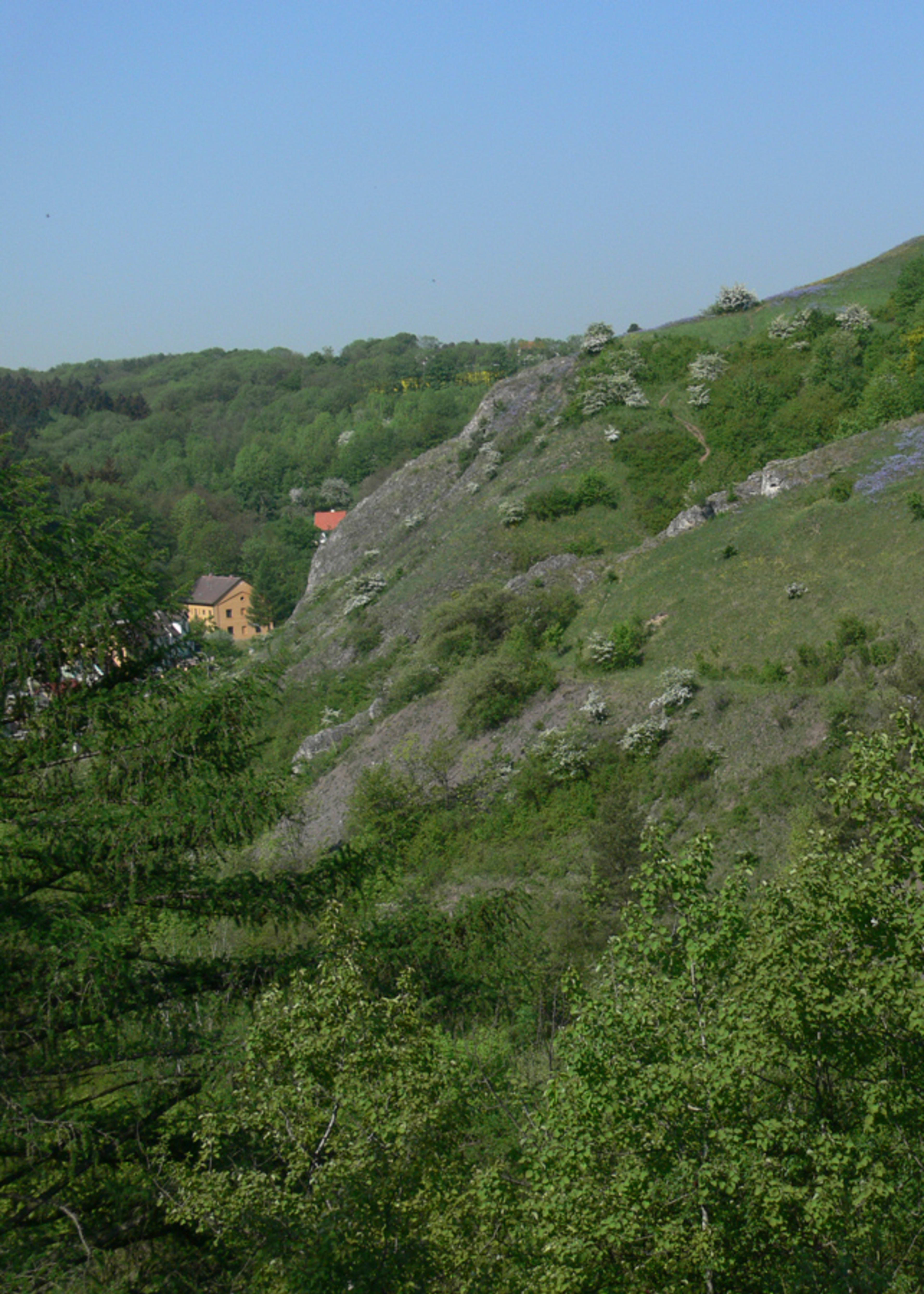 Naučná stezka Barrandovské skály - Chuchelský háj