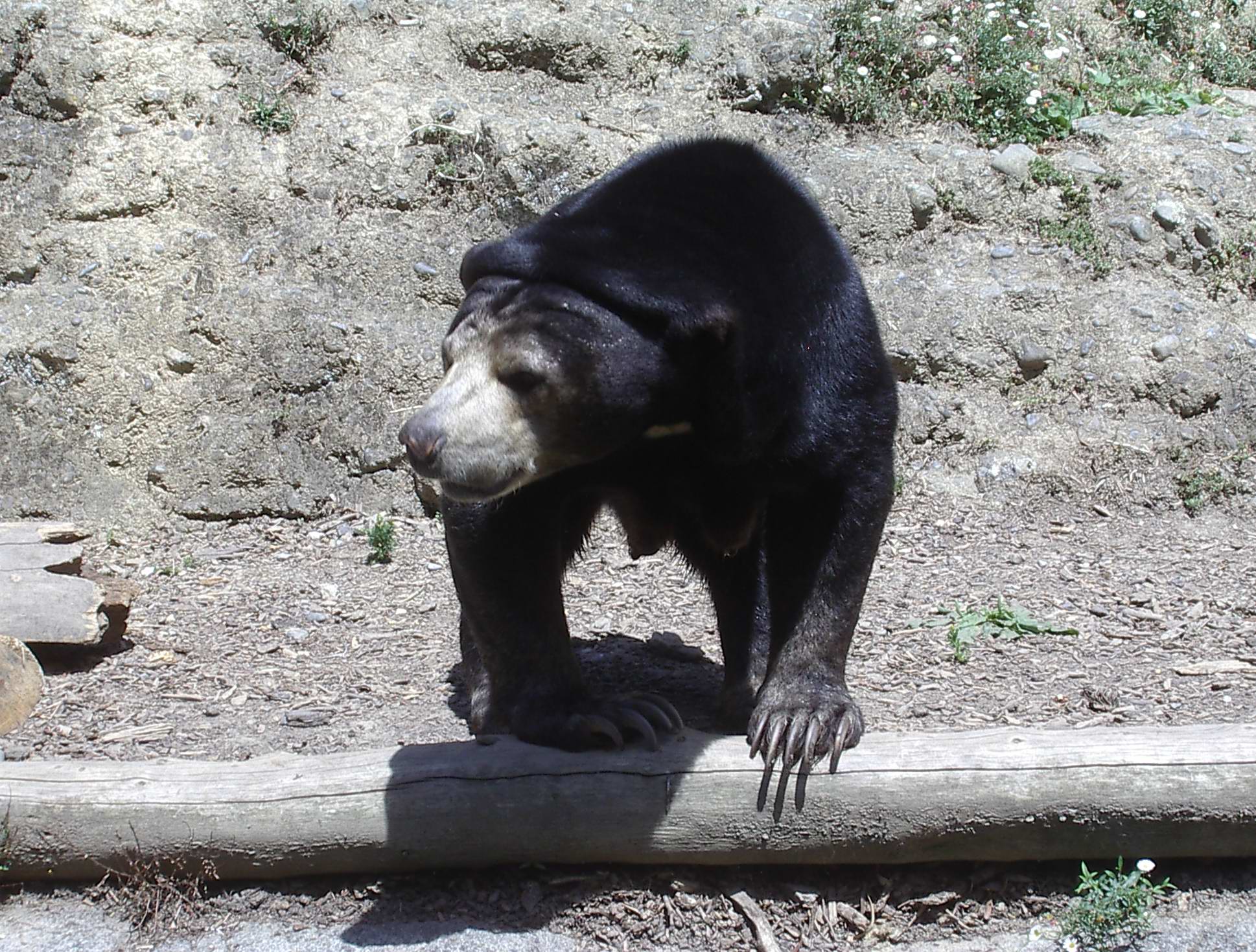 Zoologická zahrada