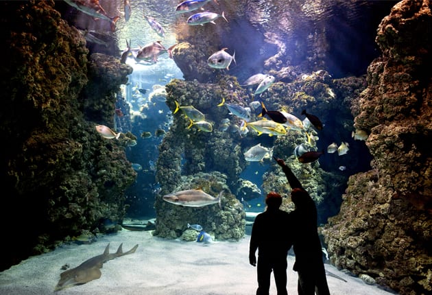 Oceánografické muzeum