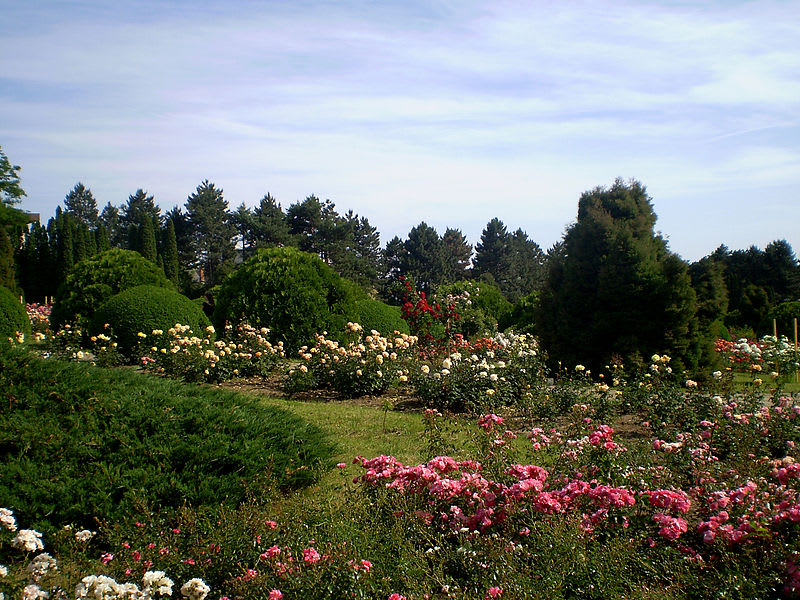 Botanická zahrada