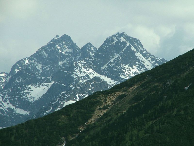Vysoká