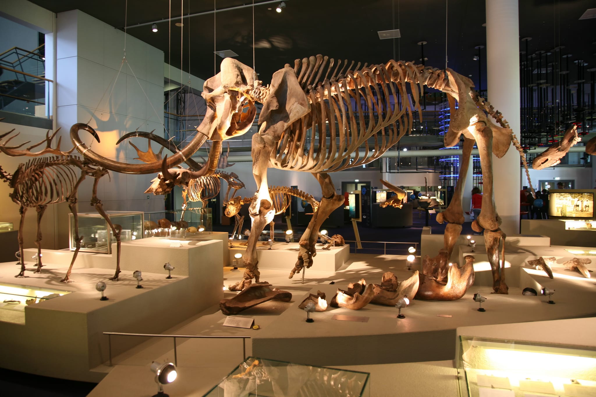 Přírodovědné muzeum