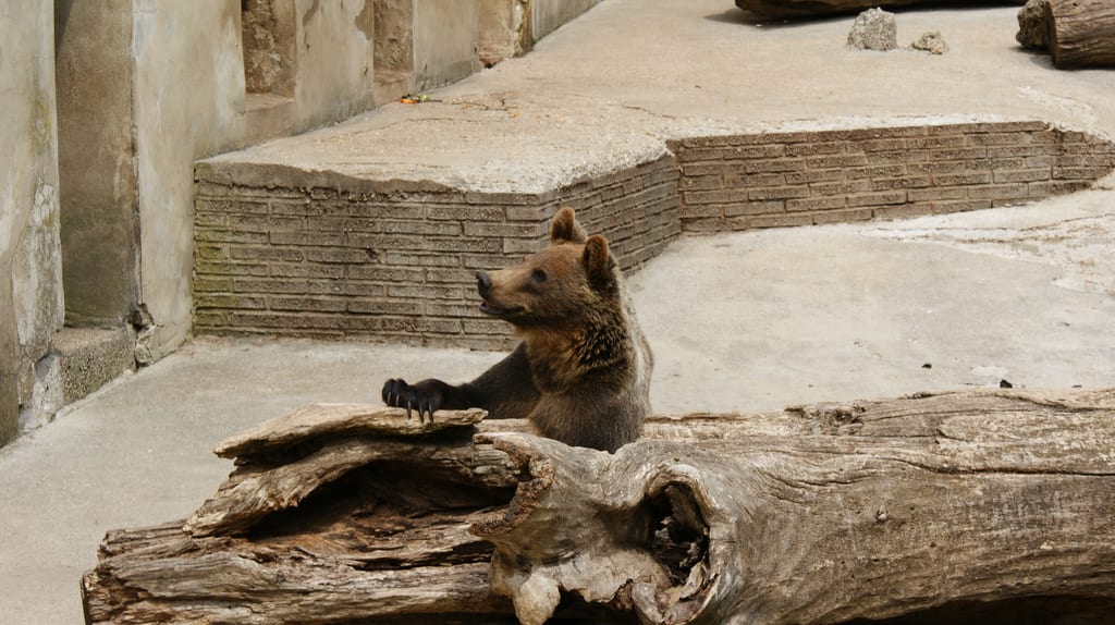 Zoo Bojnice
