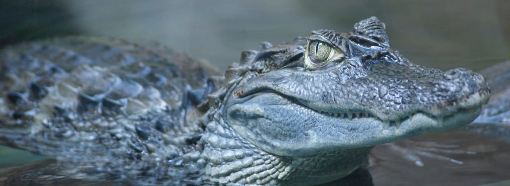 Zoologická zahrada