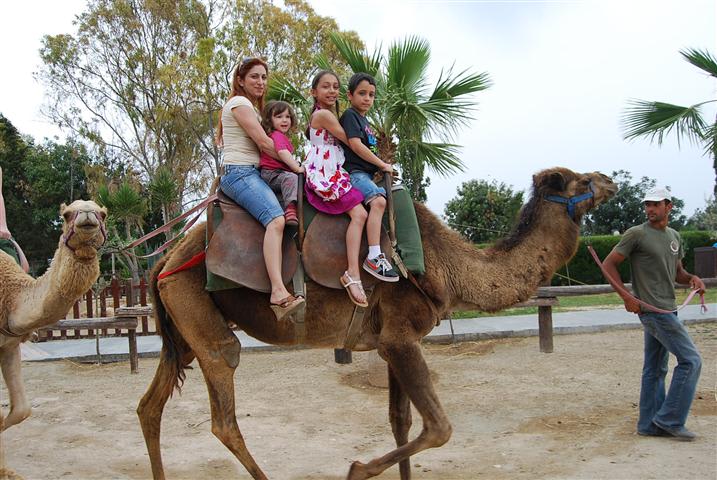 Velbloudí park Mazotos