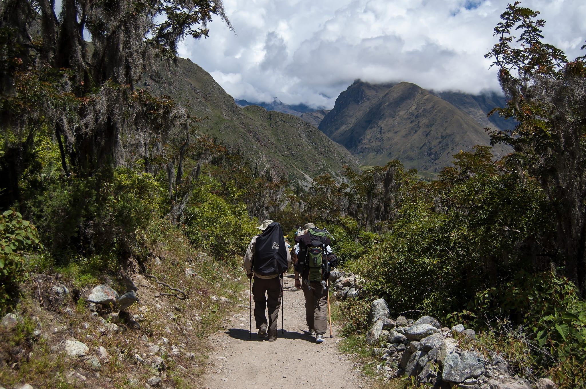 Inca trail