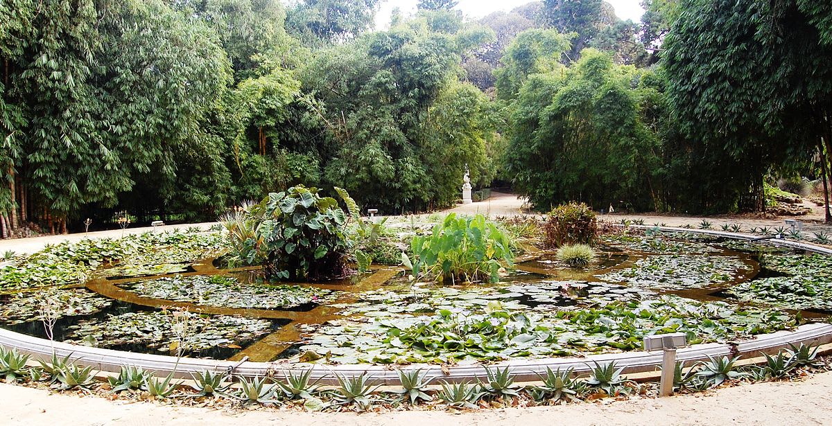 Botanické zahrady Palermo
