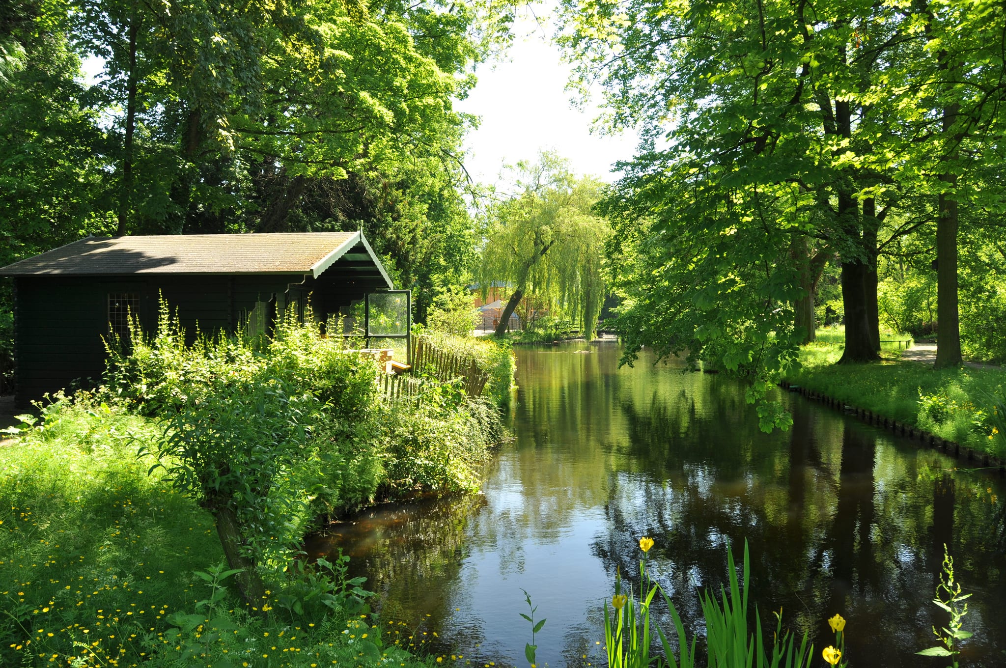Městský park Weizigtpark