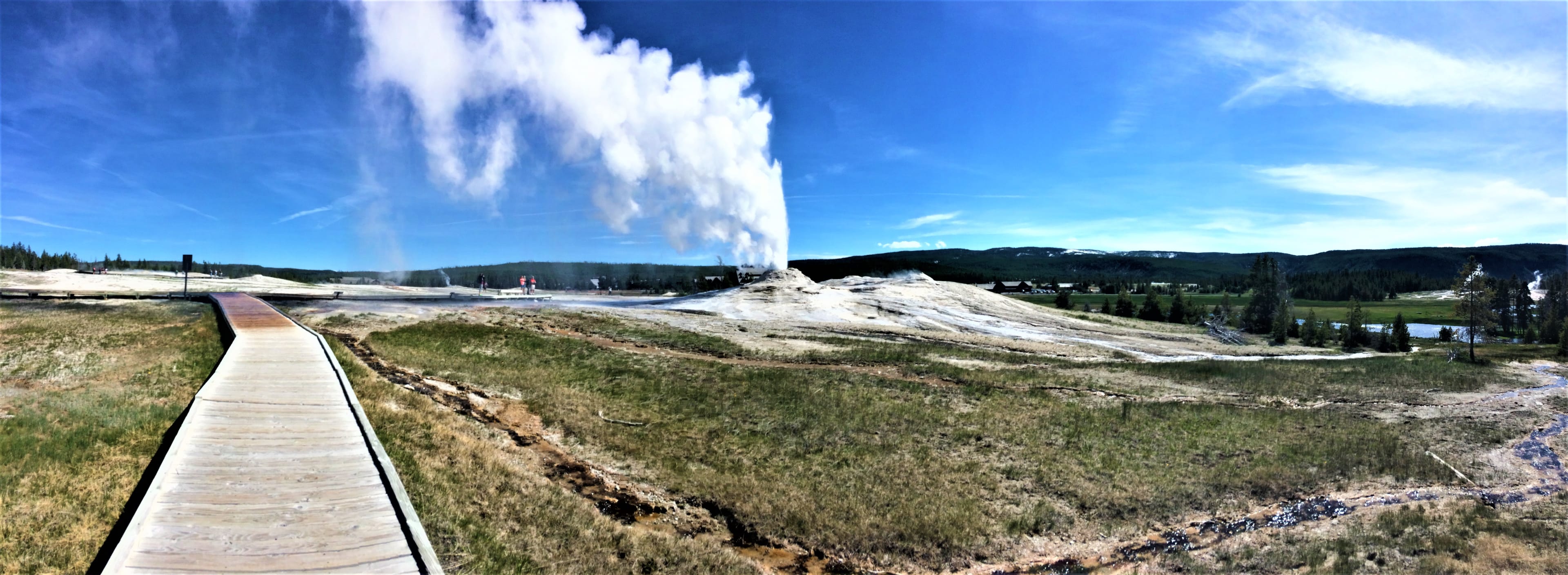 Nezkrotný Národní park Yellowstone