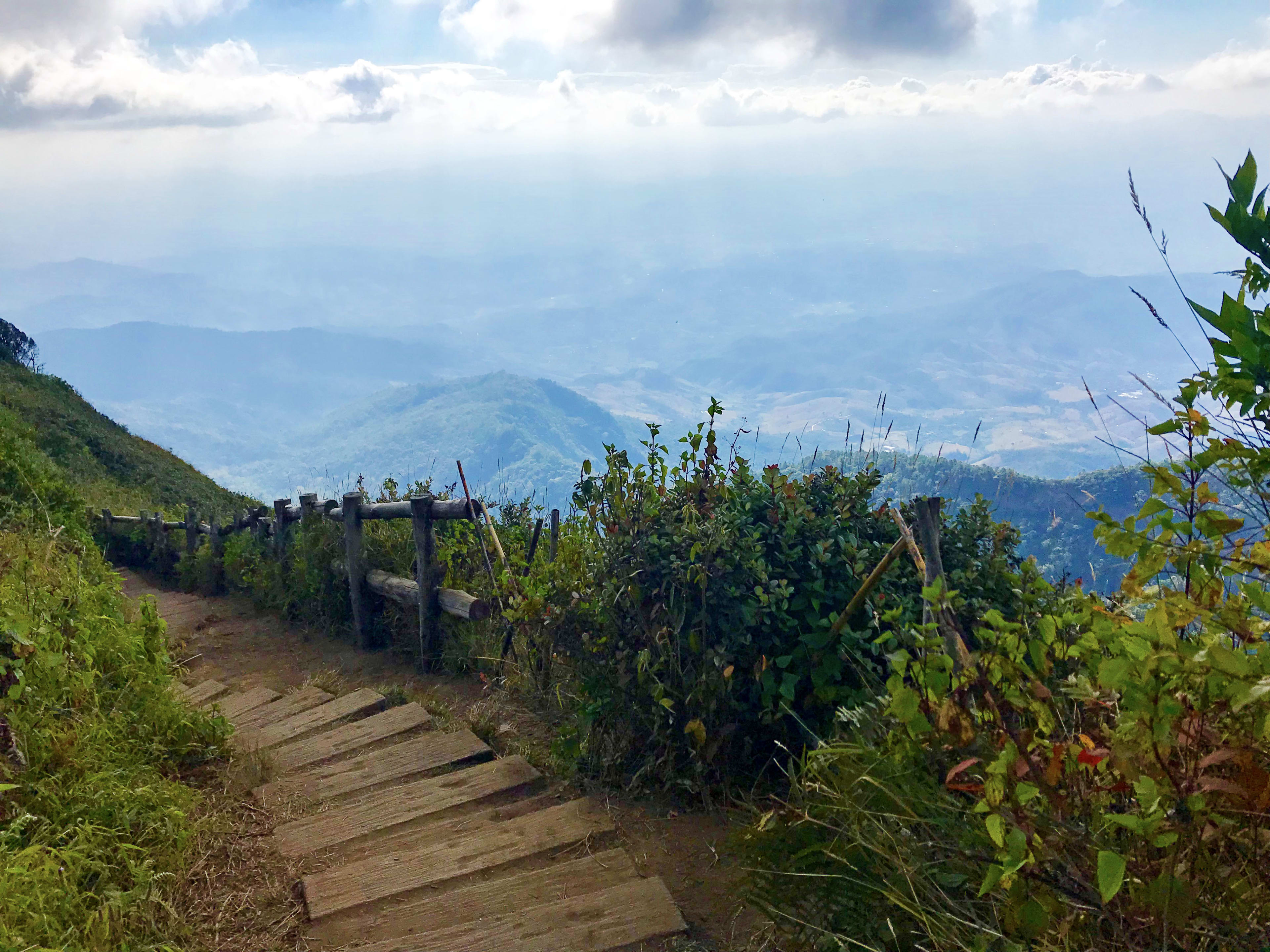 Kaew Mae Pan Nature Trail