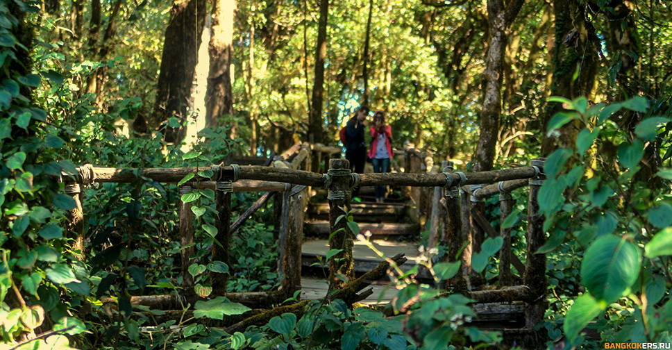 Ang Ka Luang Nature Trail