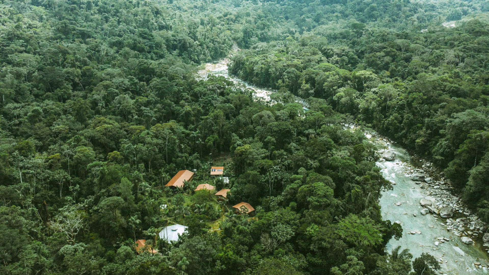 Za ayahuascou do ekvádorského amazonského pralesa