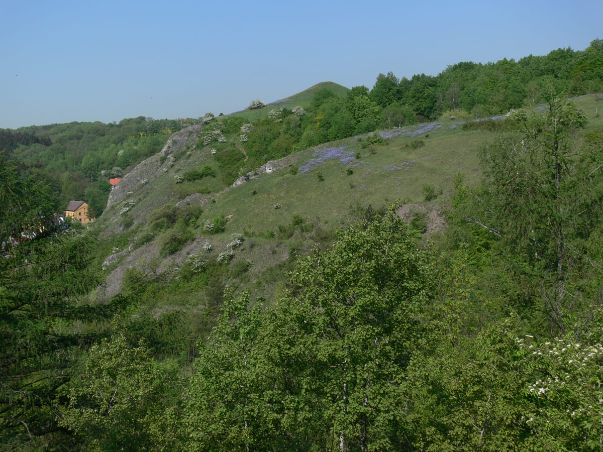 Naučná stezka Barrandovské skály - Chuchelský háj