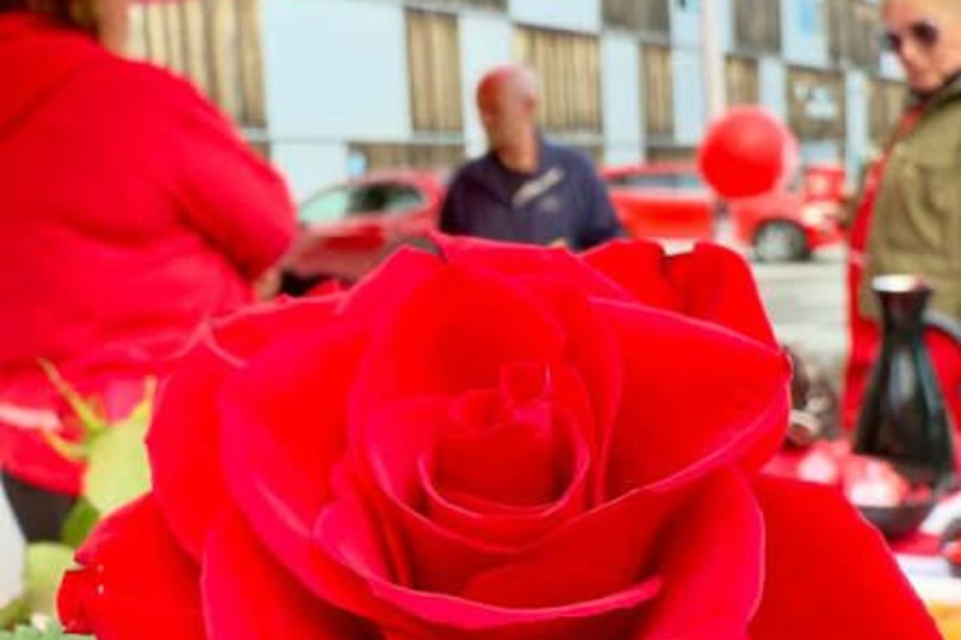 Vakker rose på stand, Raufoss