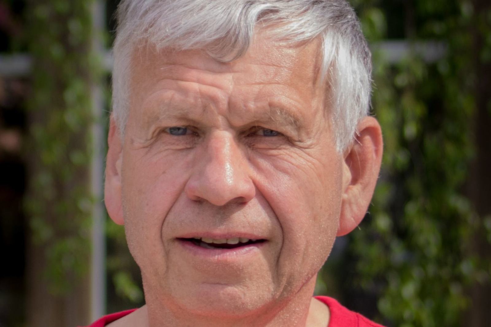 Palmar Kjærvik