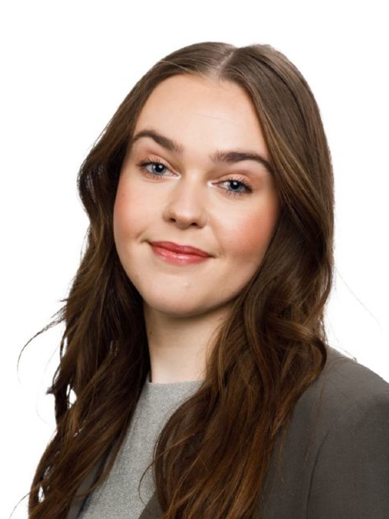 vilde protrett