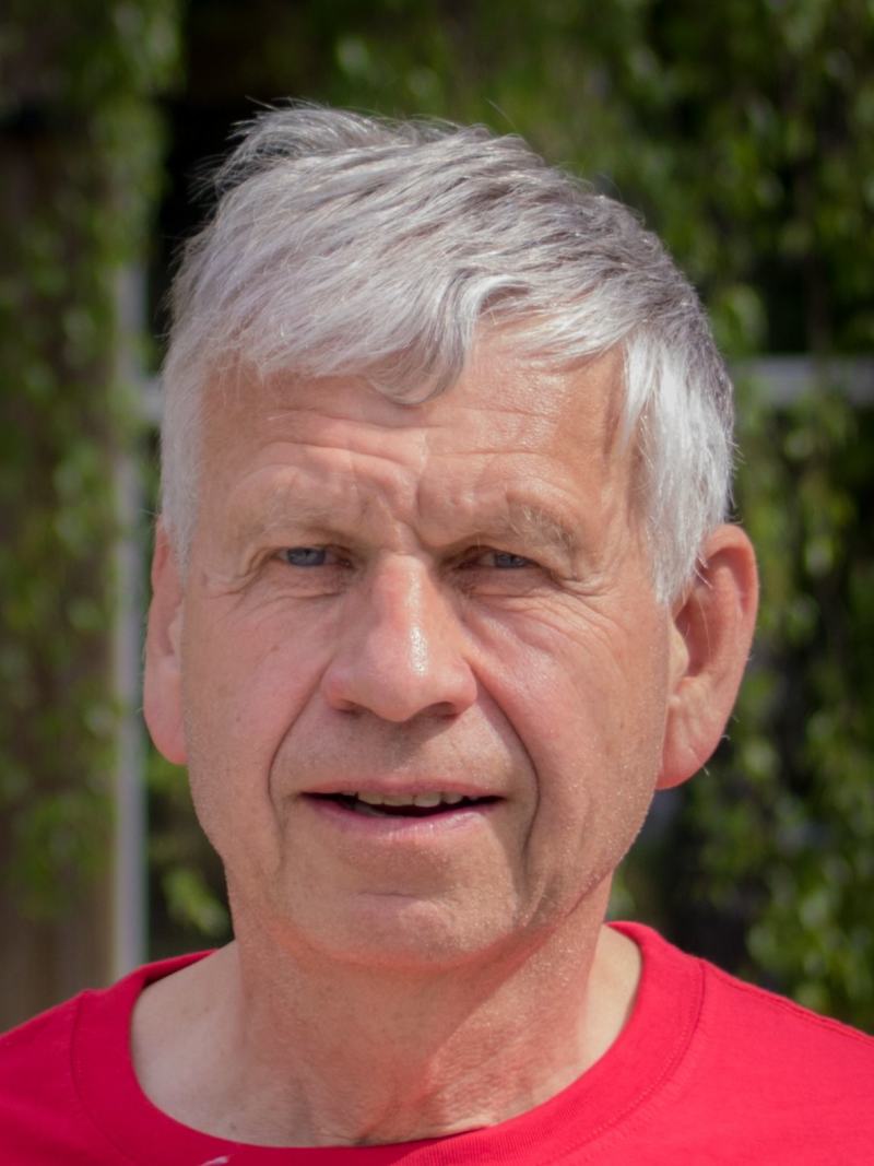 Palmar Kjærvik