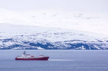 Illustrasjon, Stålbas på Tanafjorden