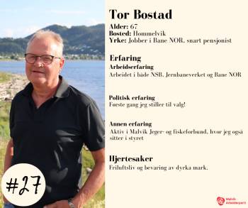 Profil av Tor Bostad