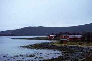 Flere røde, små naust ligger langs vannkanten. Foto: Øivind Haug