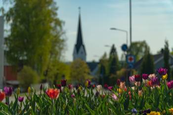 Motiv fra Furnesvegen mot Hamar Domkirke. Foto: Tord Kristian Skancke