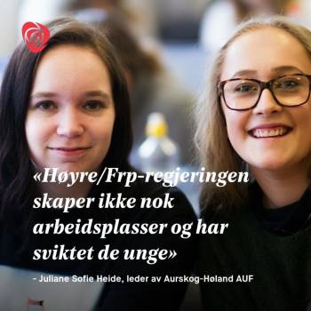 Juliane Sofie Heide skriver i Indre Akershus Blad om at Høyre/Frp-regjeringen ikke skaper nok arbeidsplasser.