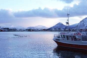 En båt ligger til kais, fjellene og havet rundt er lyst opp av et mildt, blårosa lys. Foto: Øivind Haug