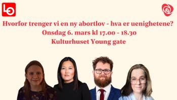 Deltakere i panelet om ny abortlov