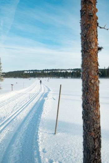 Et flott sted å være aktiv er på Lavsjømyrene på Hedmarksvidda i Vang, ved grensa mellom Hamar og Løten. Foto: Tord Kristian Skancke