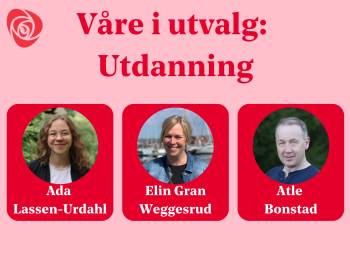 Våre i utvalg for utdanning