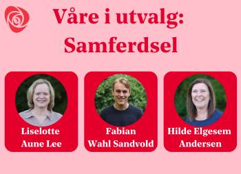 Våre i utvalg for samferdsel