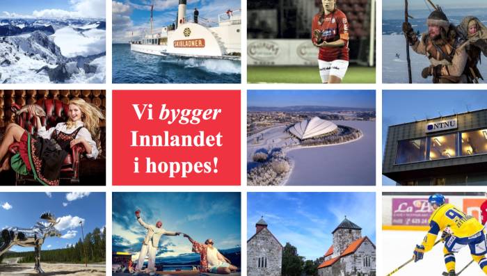 Fylkestingsprogram