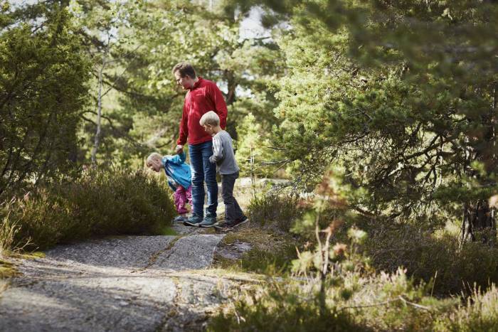 En far og hans to barn går tur i skogen, de har stoppet opp for å studere noe. Foto: Øivind Haug