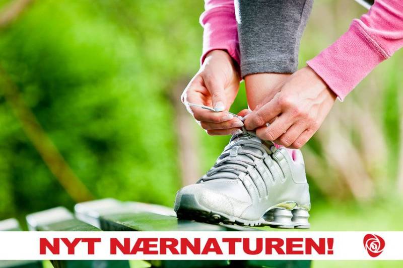 Grønnere hverdag