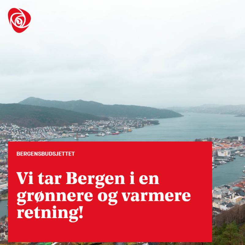 Bilde av bergen tatt fra fløyen