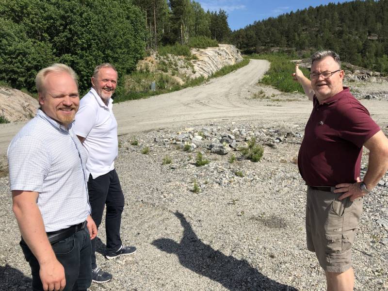 Veien til biozin