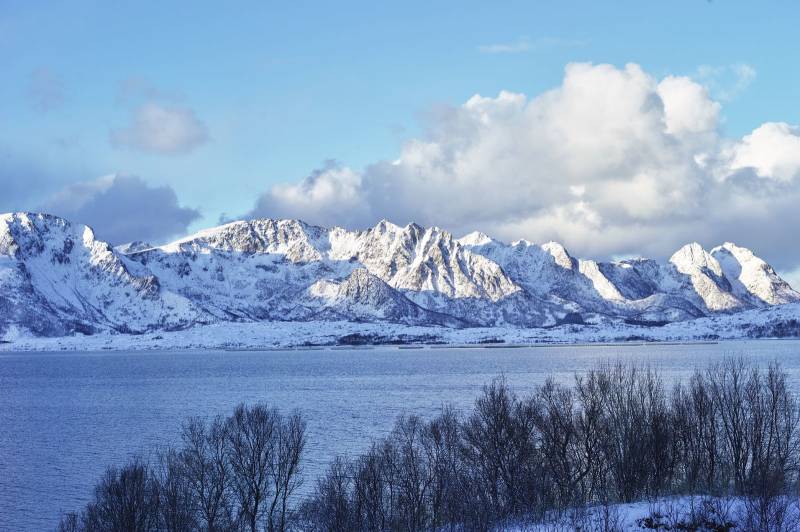 Landskapsbilde av blå himmel og snødekte fjell, hav og trær i forgrunnen. Foto: Øivind Haug