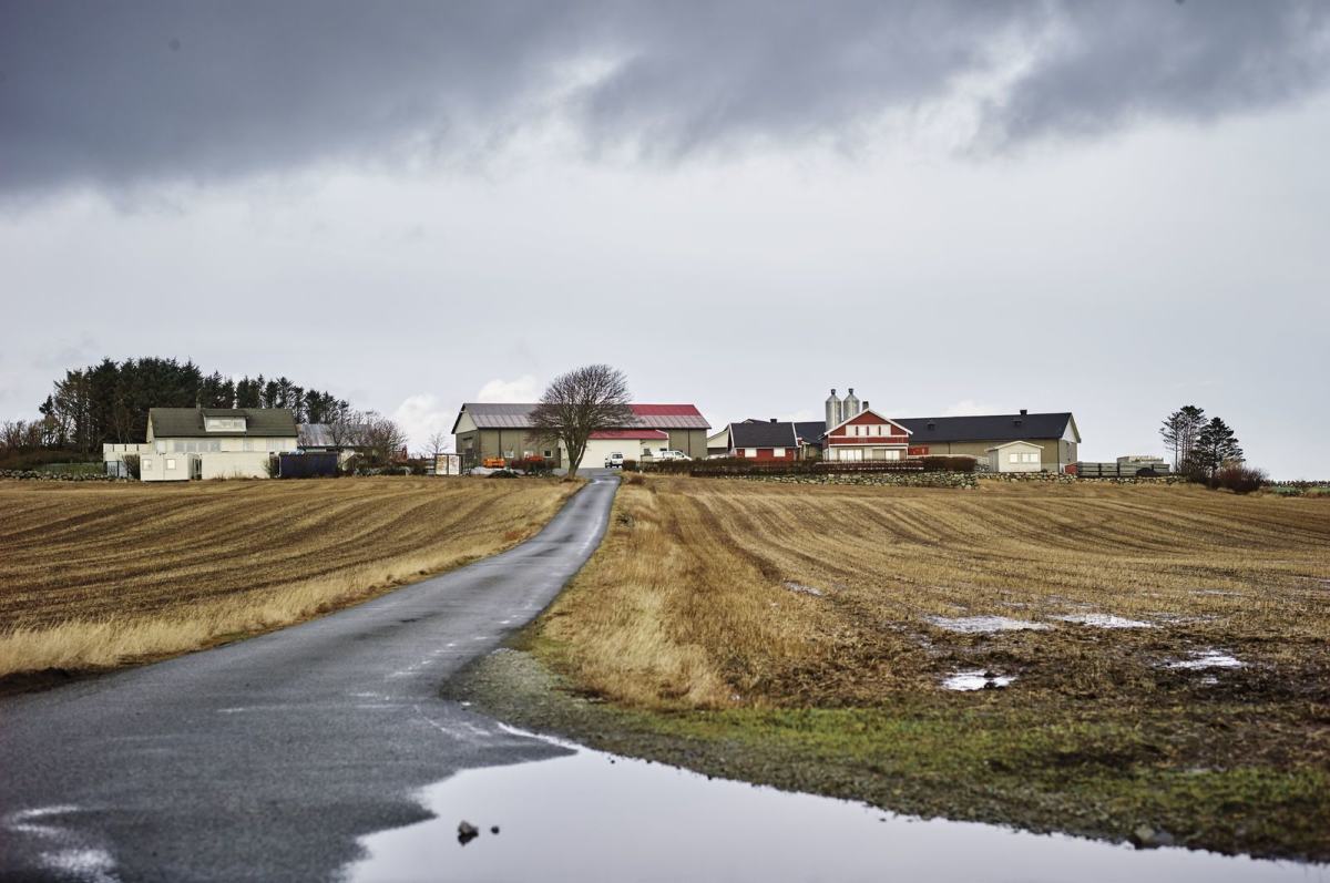 Oppskjørselen til et gårdstun, jorder på begge sider og regn i lufta. Foto: Øivind Haug