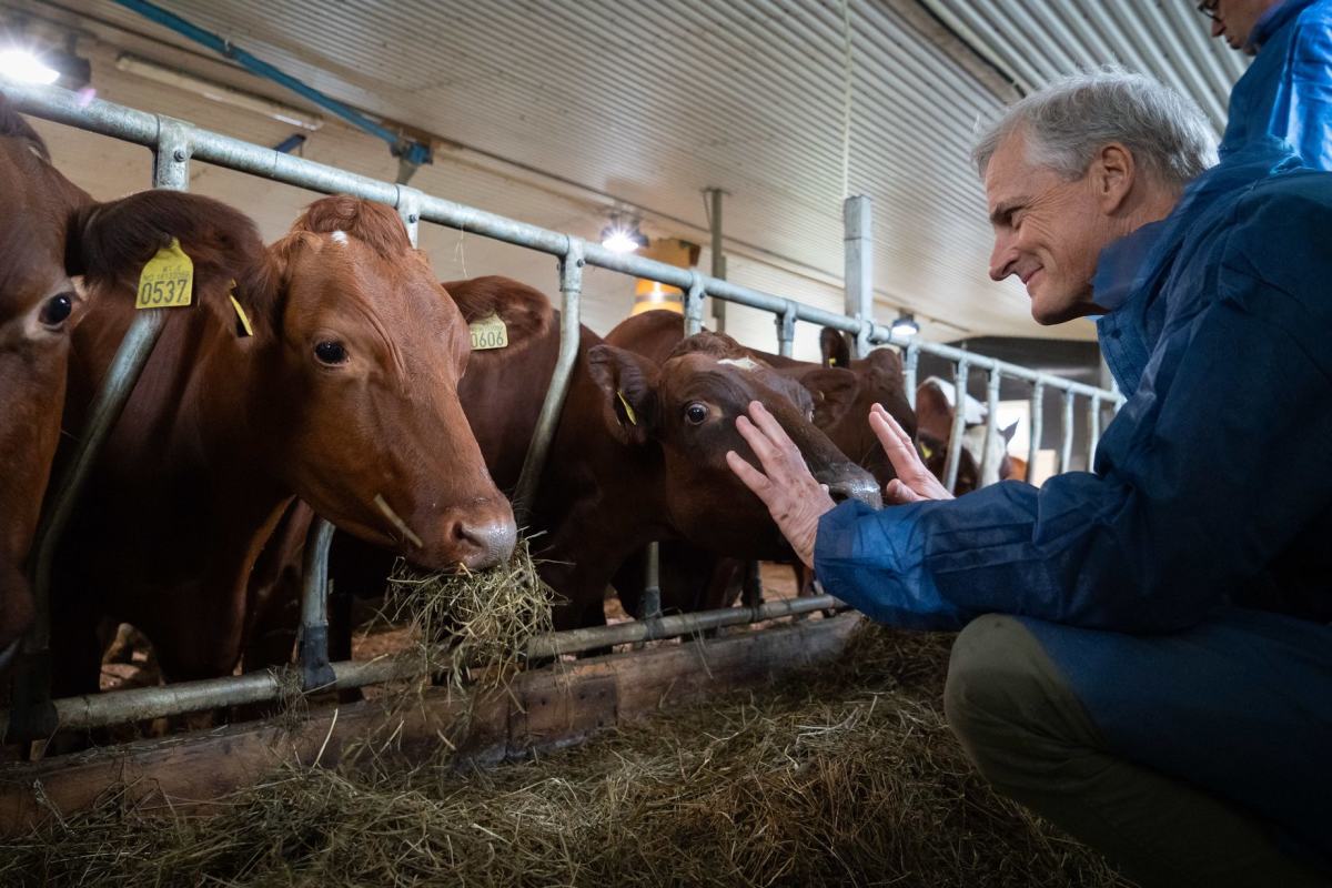 Kuene får høre om den gode distriktspolitikken vår