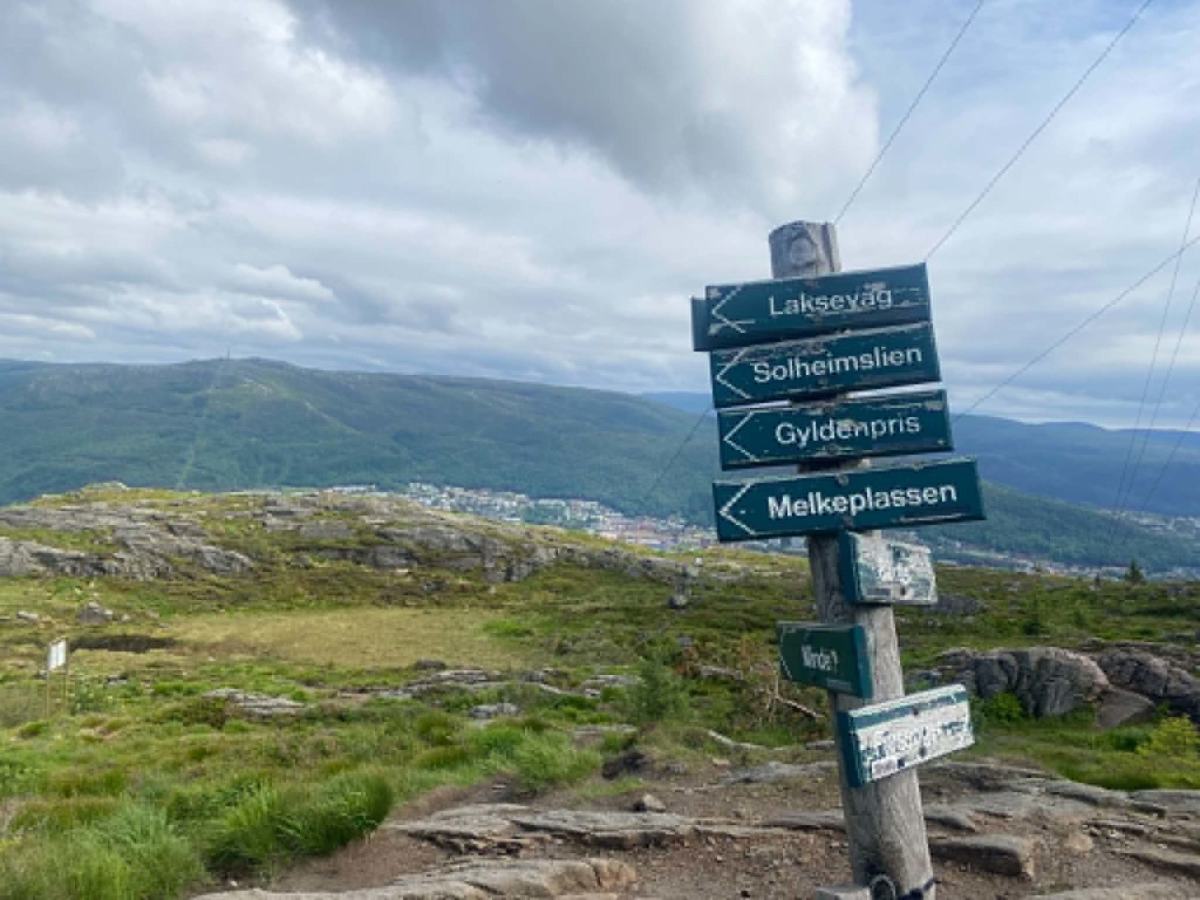 Bergensdalen