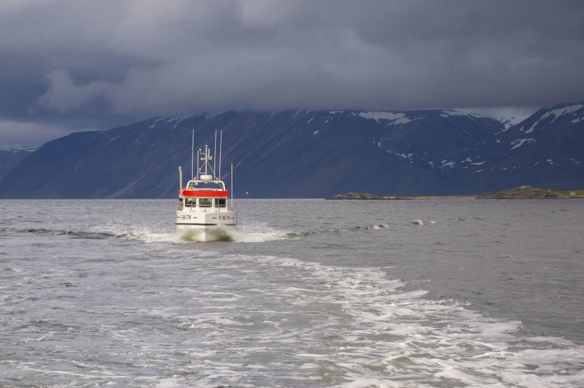 Fiskefartøy på Tanafjorden i Finnmark