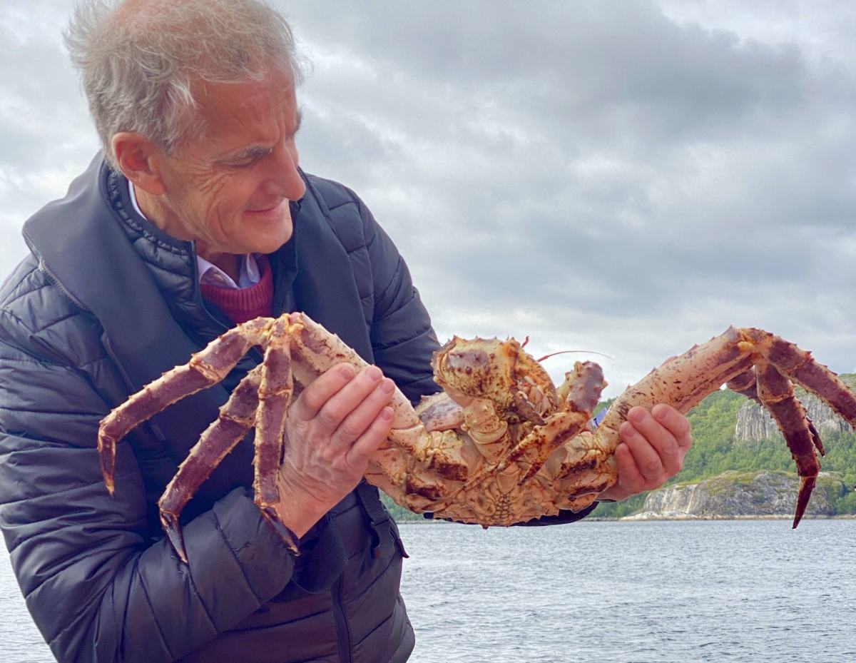 På kongekrabbefiske